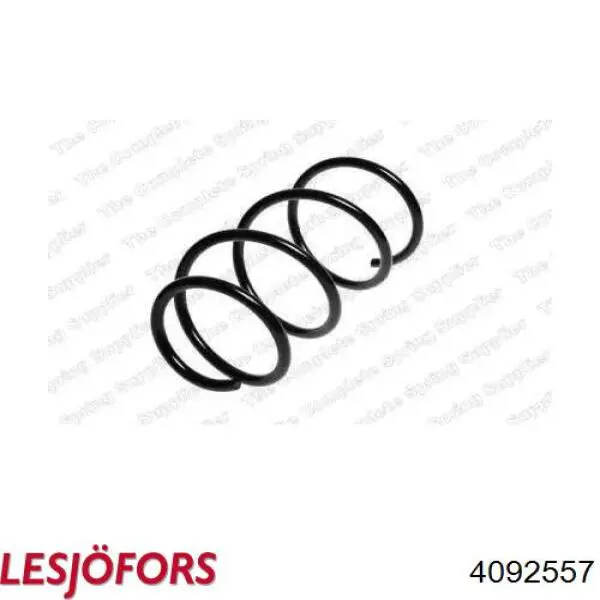 4092557 Lesjofors Muelle delantero