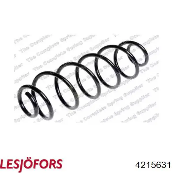 86584 GKN-Spidan Muelle trasero