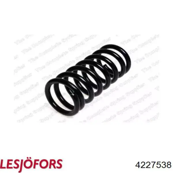 4227538 Lesjofors Muelle trasero