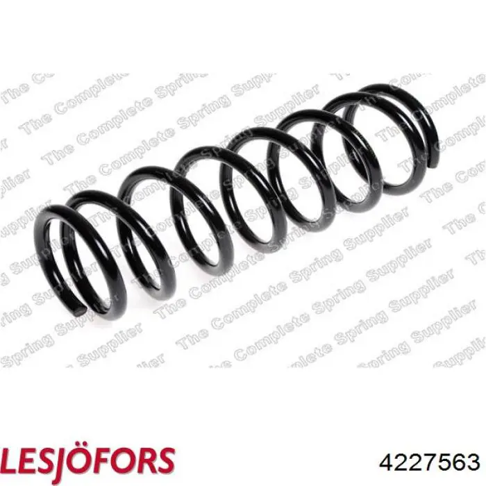 4227563 Lesjofors Muelle trasero