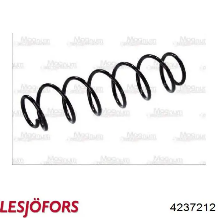 4237212 Lesjofors Muelle trasero