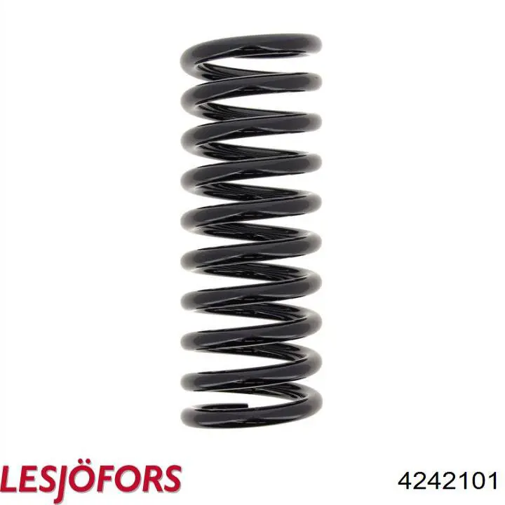 4242101 Lesjofors Muelle trasero