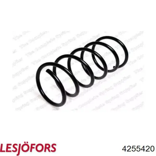 4255420 Lesjofors Muelle trasero