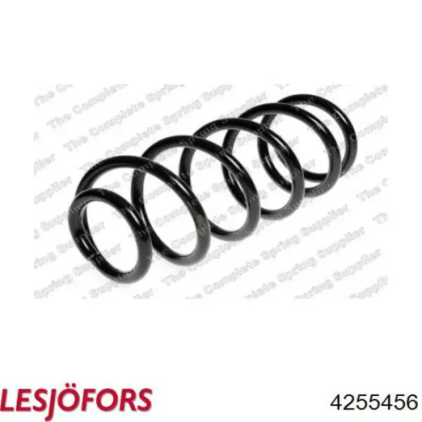 4255456 Lesjofors Muelle trasero