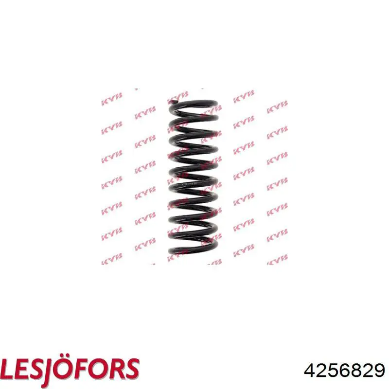 Muelle de suspensión trasero Lesjofors 4256829 precio, desde 49,66 EUR