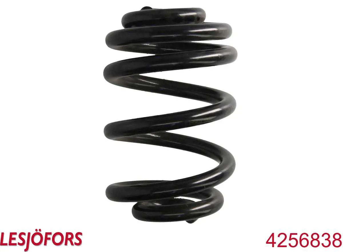 Muelle de suspensión trasero Lesjofors 4256838 precio, desde 45,13 EUR