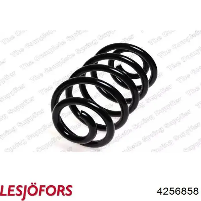 4256858 Lesjofors Muelle trasero
