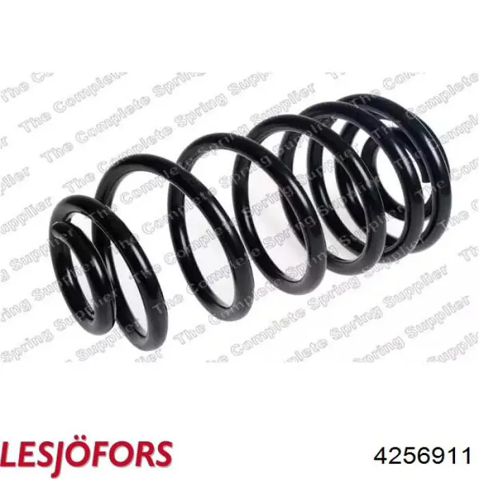 4256911 Lesjofors Muelle trasero