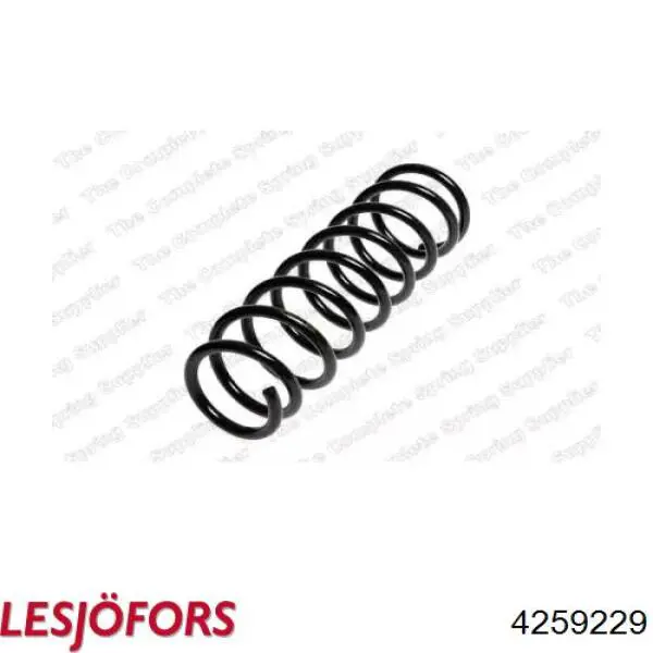 4259229 Lesjofors Muelle trasero