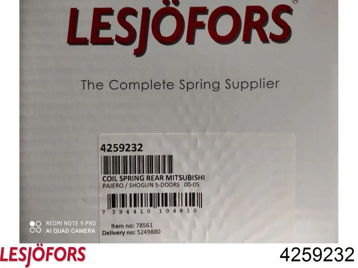 4259232 Lesjofors Muelle trasero