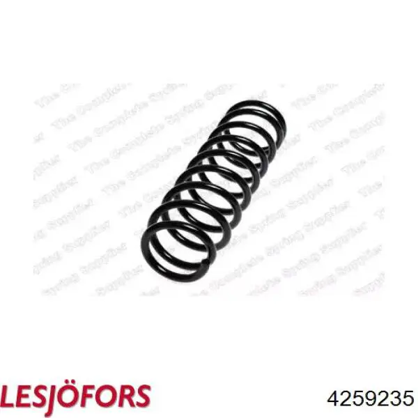4259235 Lesjofors Muelle trasero