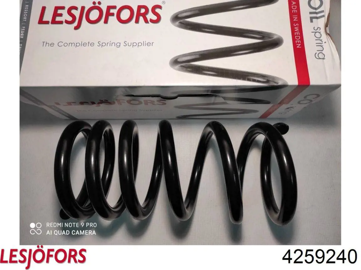 4259240 Lesjofors Muelle trasero