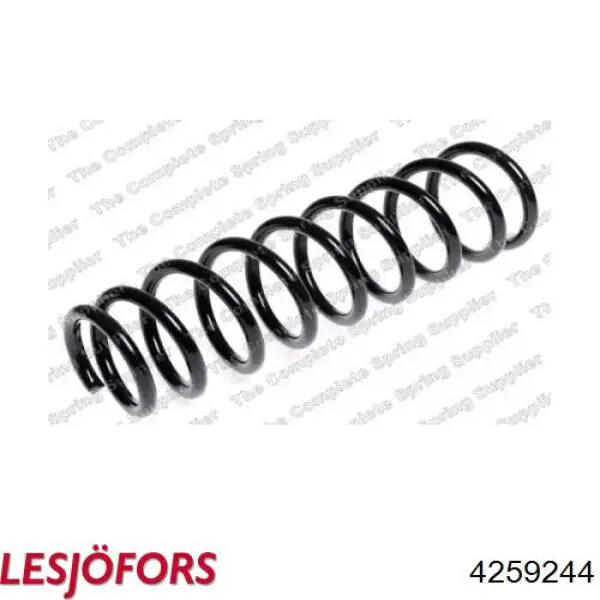 4259244 Lesjofors Muelle trasero