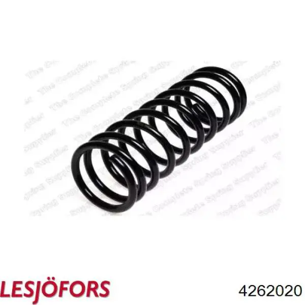 Comprar NI52583 Tashiko Muelle de eje trasero