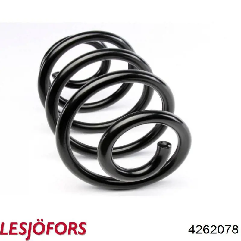 4262078 Lesjofors Muelle trasero