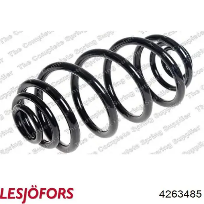 4263485 Lesjofors Muelle trasero