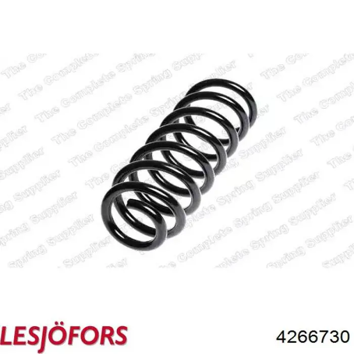Muelle 996679 Sachs
