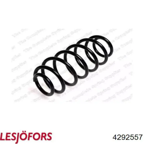 4292557 Lesjofors Muelle trasero