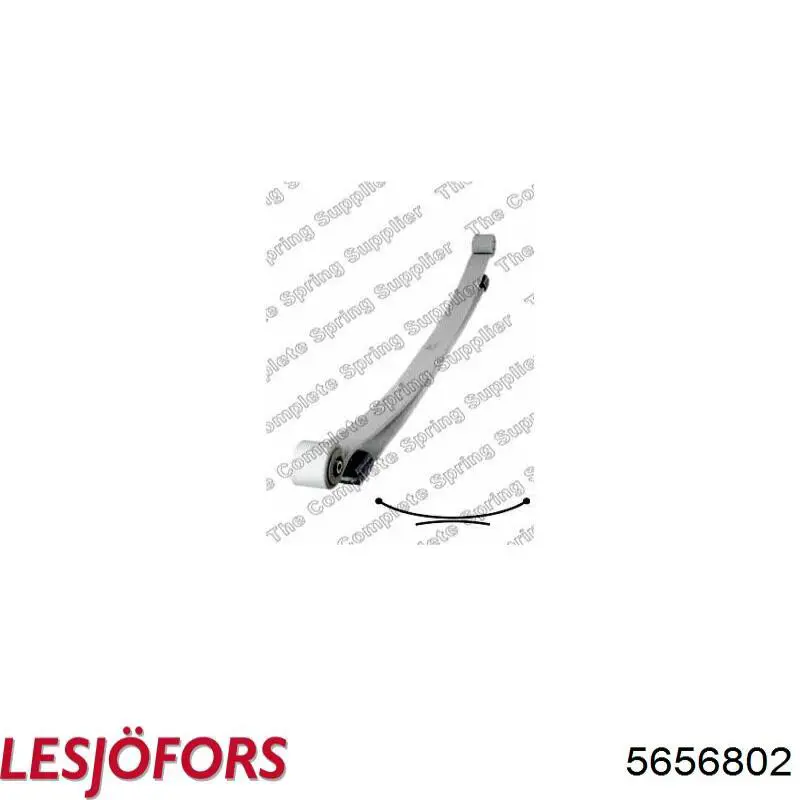 Ballesta de suspensión delantera 60375001 Goodrem