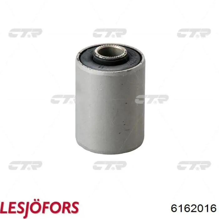 Comprar 6162016 Lesjofors Ballesta de suspensión trasera