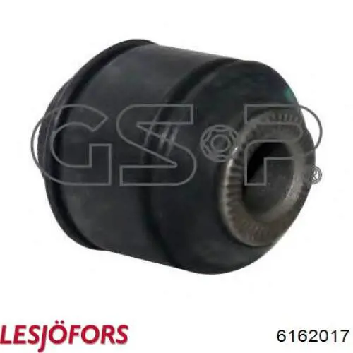 Ballesta, eje trasera  Lesjofors 6162017 precio, desde 211,87 EUR