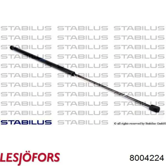 Muelle neumático, tapa delantera Lesjofors 8004224 precio, desde 11,39 EUR