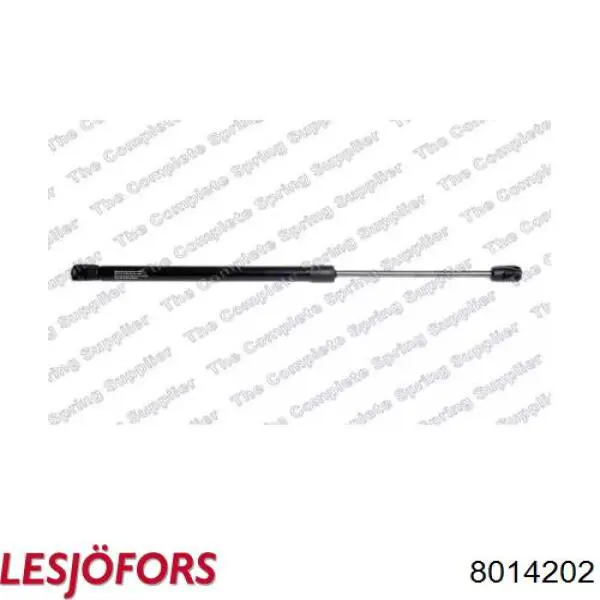 Muelle neumático, tapa delantera General Motors 95494362 precio, desde 12,14 EUR