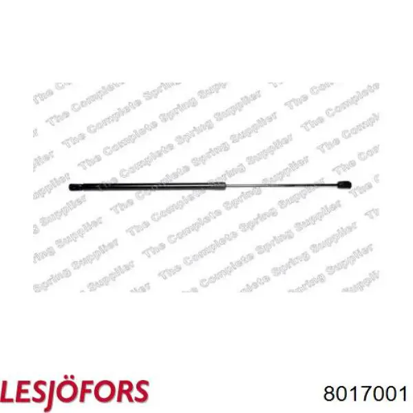 Comprar 8017001 Lesjofors Amortiguador de capó