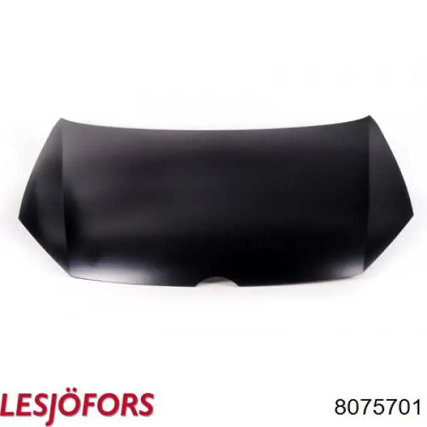 Comprar 8075701 Lesjofors Amortiguador de capó