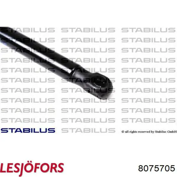 Comprar ZSL0011 Japan Parts Amortiguador de capó