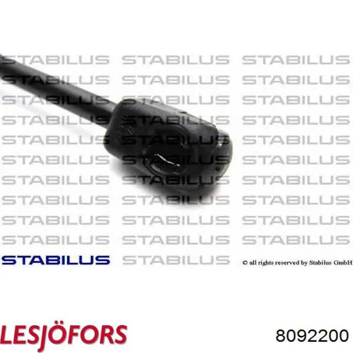 6006603 Tesla muelle neumático, capó de motor
