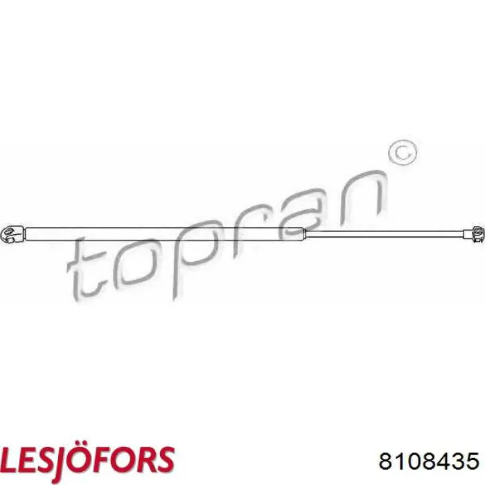 Amortiguador de maletero Lesjofors 8108435 precio, desde 16,86 EUR