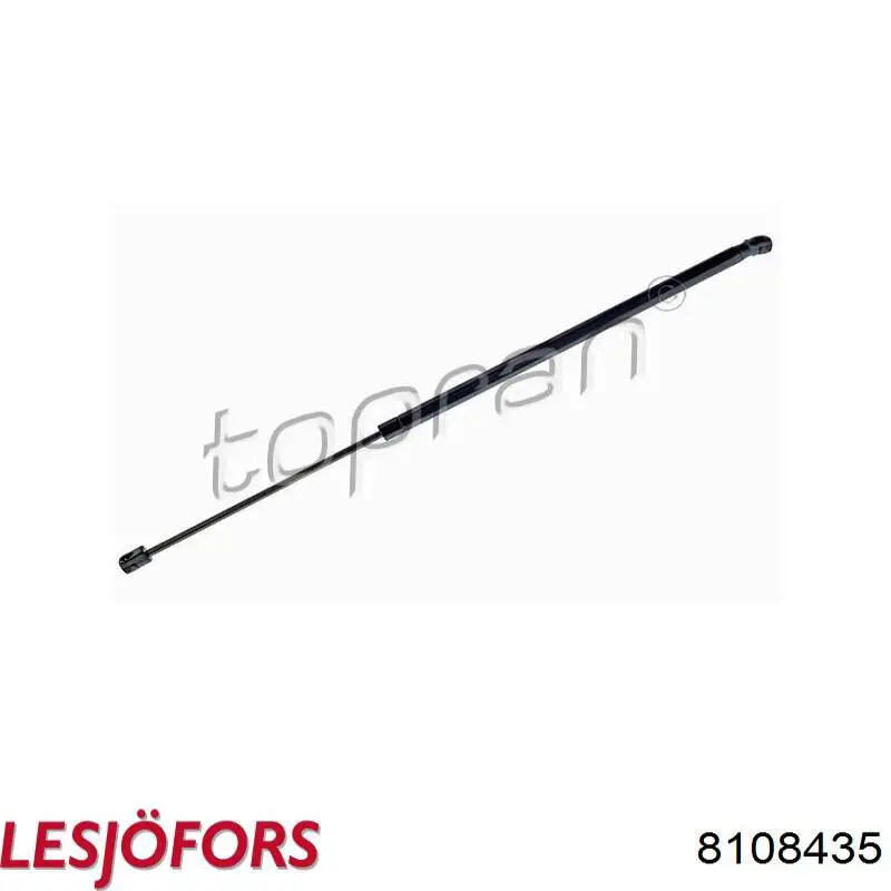 Comprar 8108435 Lesjofors Amortiguador de puerta trasera