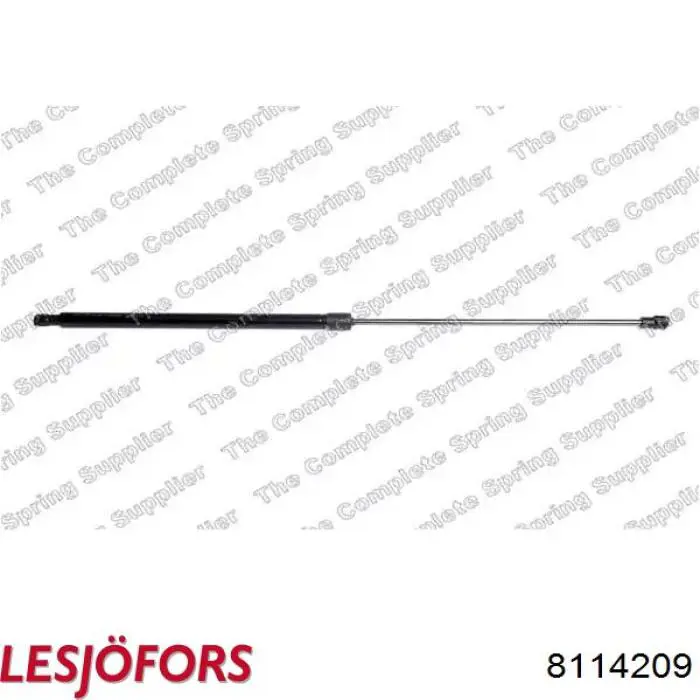 Comprar ZSAW0013 Ashika Amortiguador de puerta trasera