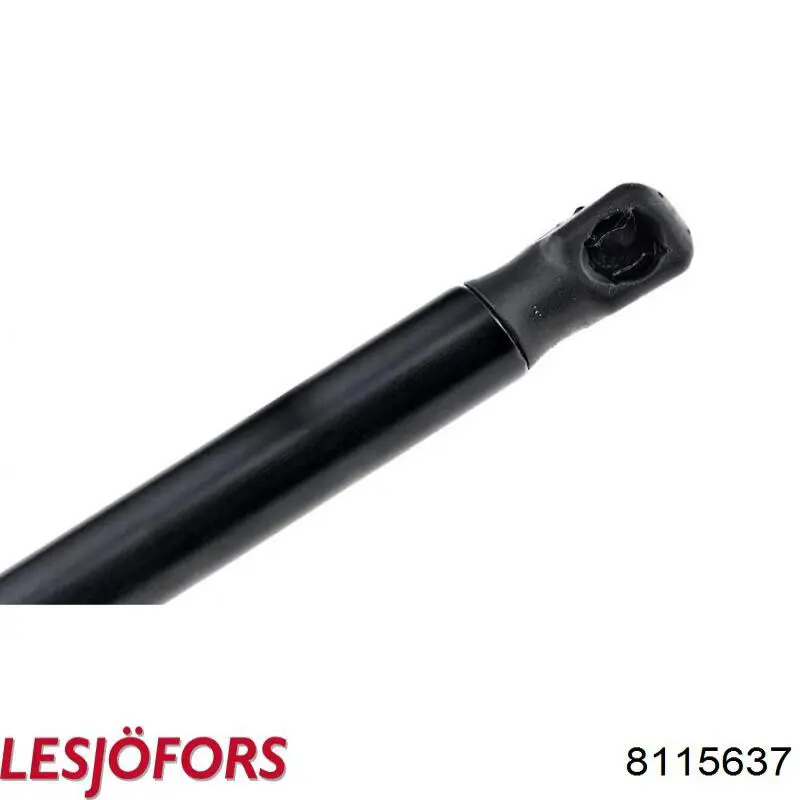 Comprar ZSA06004 Ashika Amortiguador de puerta trasera