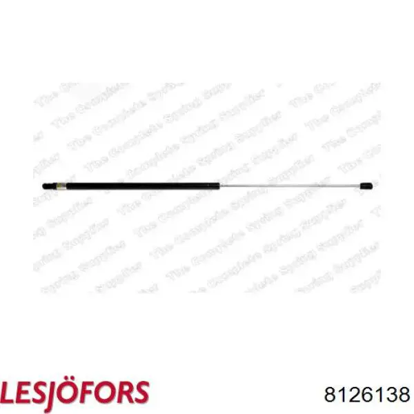 Muelle neumatico maletero Asam 79691
