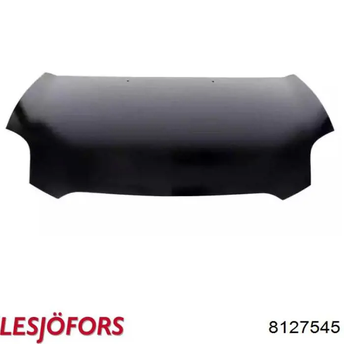 8127545 Lesjofors Amortiguador de porton