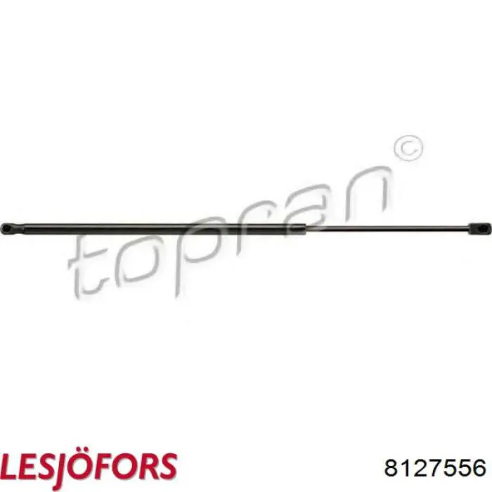 Comprar GSR638900 Open Parts Amortiguador de puerta trasera