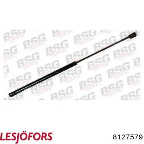Comprar 8127579 Lesjofors Amortiguador de puerta trasera