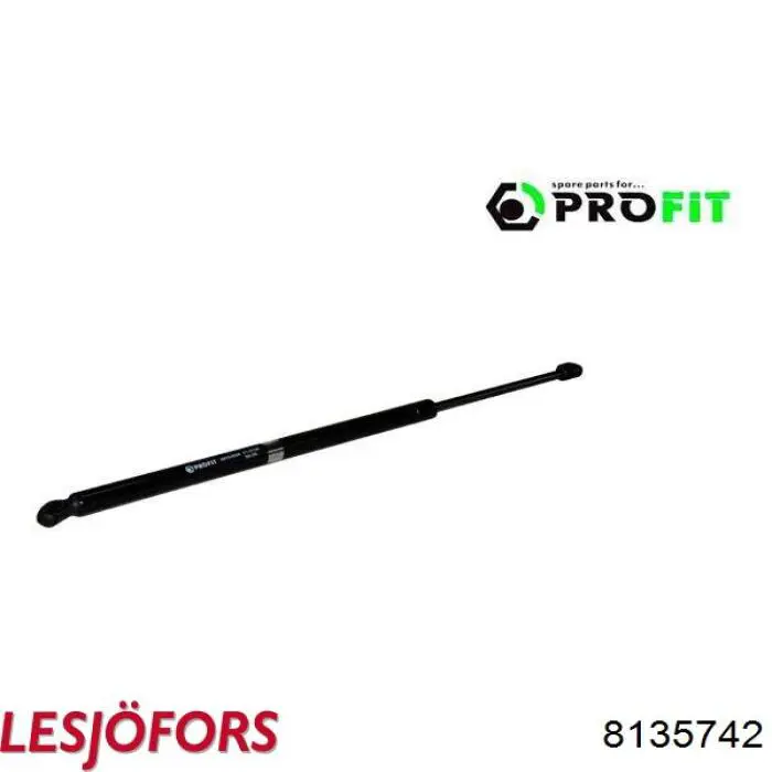Amortiguador maletero 430719126400 Magneti Marelli