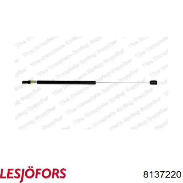 Amortiguador de maletero Lesjofors 8137220 precio, desde 21,08 EUR