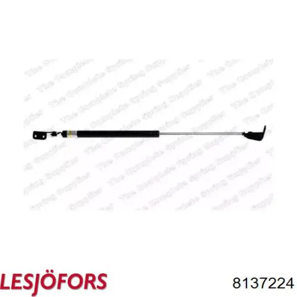 Amortiguador de maletero Lesjofors 8137224 precio, desde 31,17 EUR