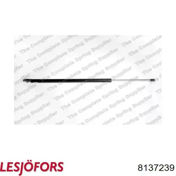 Comprar 8137239 Lesjofors Amortiguador de puerta trasera
