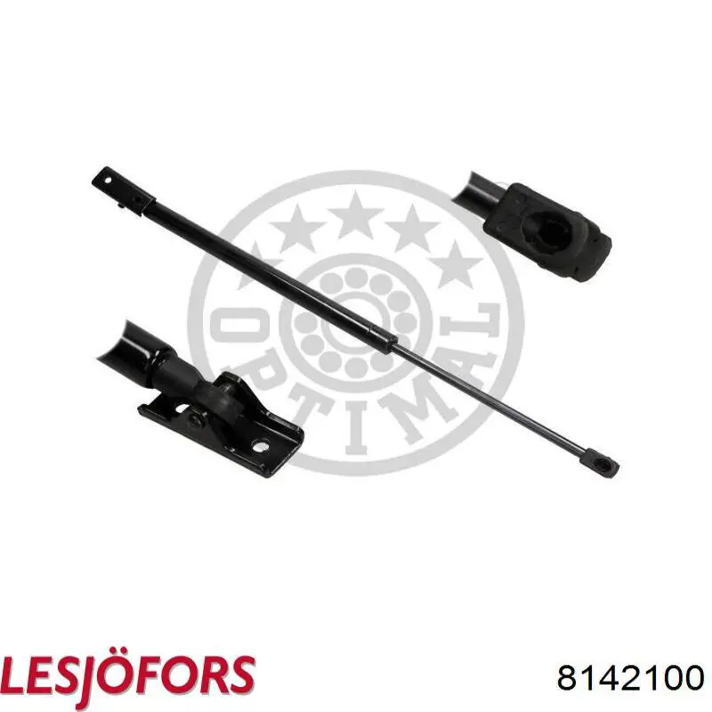 Comprar 8142100 Lesjofors Amortiguador de puerta trasera
