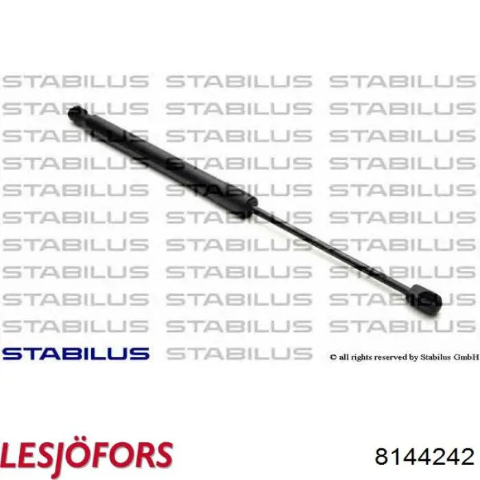 Amortiguador maletero 430719117700 Magneti Marelli