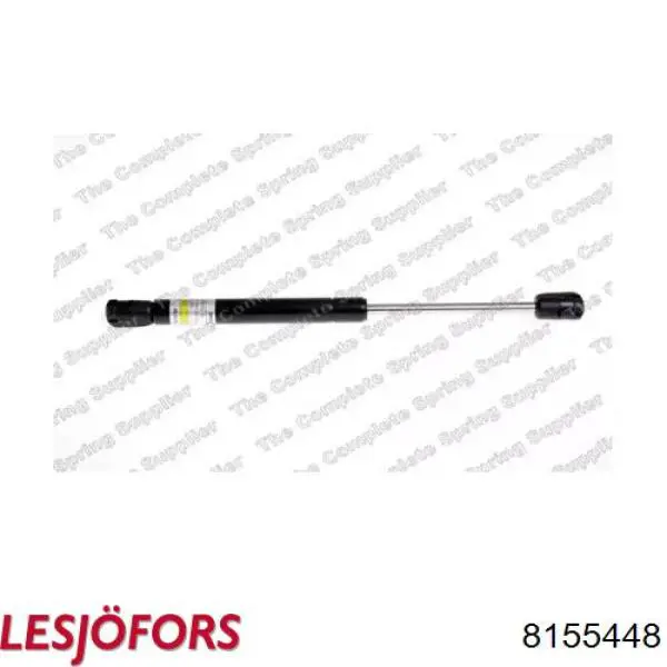Amortiguador maletero 430719070500 Magneti Marelli