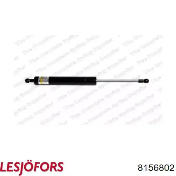 Muelle neumatico maletero Ashika ZSA05019