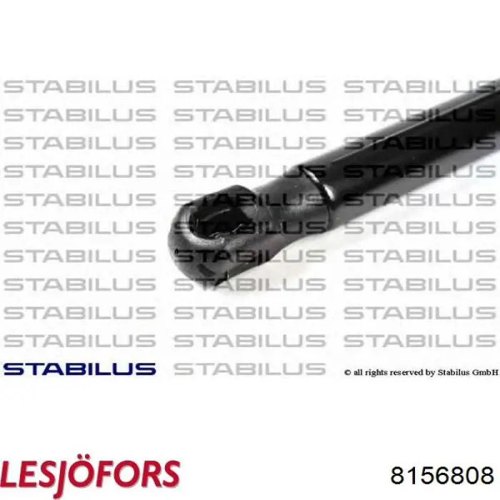 Comprar 8156808 Lesjofors Amortiguador de puerta trasera