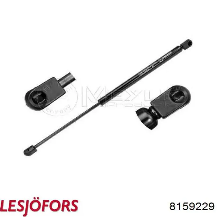 Comprar AEMS010 NTY Amortiguador de puerta trasera