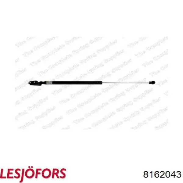 Amortiguador de maletero Lesjofors 8162043 precio, desde 23,23 EUR